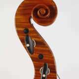 Viola - photo 6