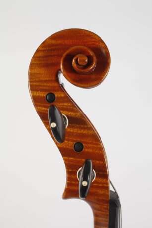 Viola - photo 6