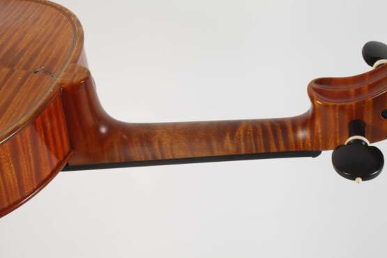 Viola - photo 7