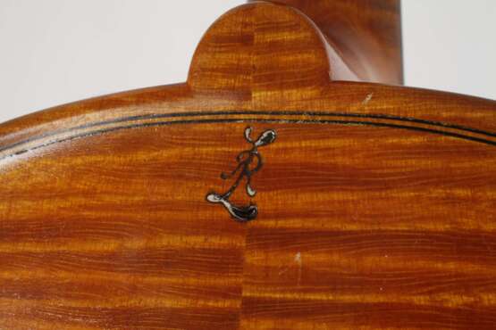 Viola - photo 8