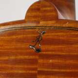 Viola - photo 8