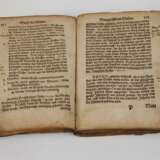 Erklerung des Fürstlichen Stammbaums Sachsen 1588 - photo 2