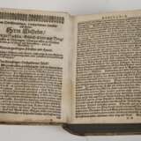 Schola Pietatis 1663 - photo 5
