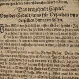 Schola Pietatis 1663 - photo 7