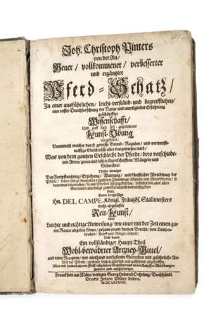 Pferd-Schatz 1688 - photo 1