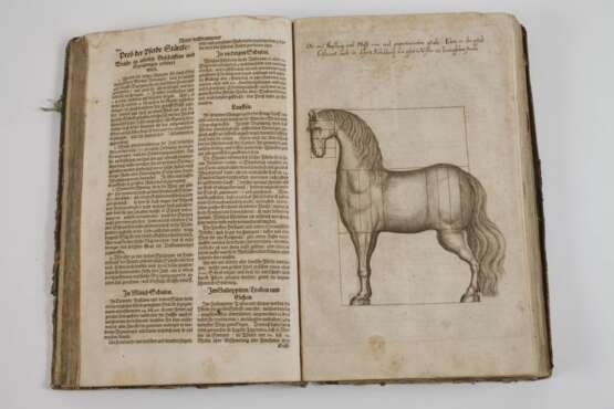 Pferd-Schatz 1688 - photo 2