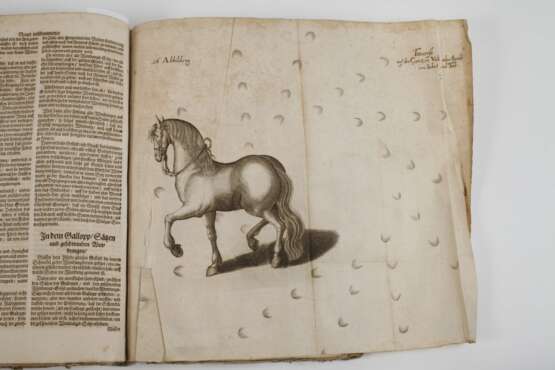 Pferd-Schatz 1688 - photo 6