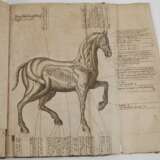 Pferd-Schatz 1688 - photo 7