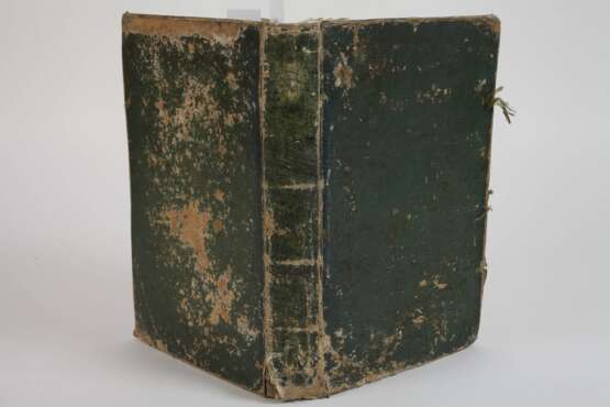 Pferd-Schatz 1688 - photo 8