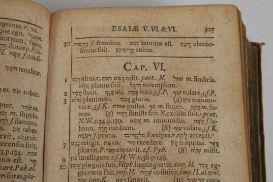 Vier alte Wörterbücher - photo 9