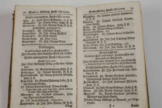 Jezt florirendes Würtemberg - photo 3