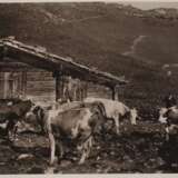 Fotoalbum Schweiz - photo 10