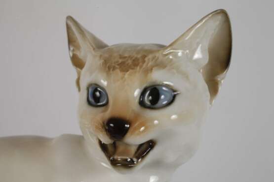 Hutschenreuther "Junge siamesische Katze" - photo 3