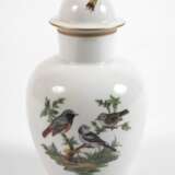 Meissen Urnenvase Vogelmalerei mit Insekten - photo 1
