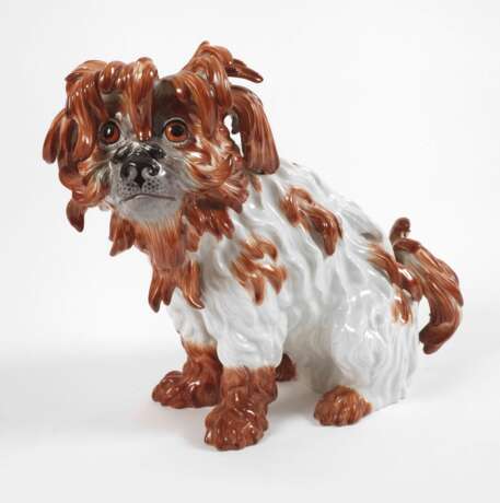 Meissen "Bologneser Hund" - photo 1