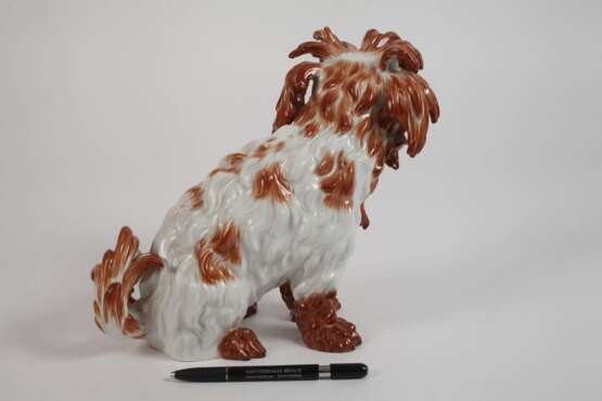Meissen "Bologneser Hund" - photo 3