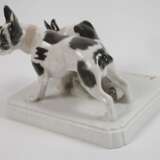 Rosenthal "Bulldoggenpaar" - Foto 4