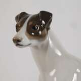 Rosenthal "Foxterrier" - photo 4