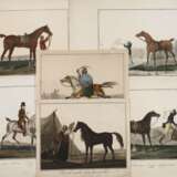 Charles F. G. Levachez, aus "Suite de Chevaux" - фото 1