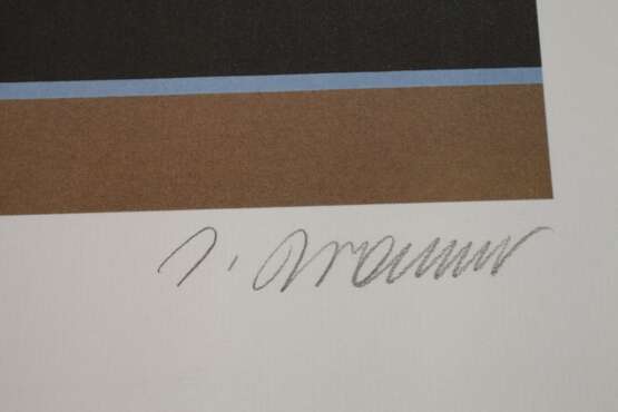 Josef Bramer, "Kopfbaum-Baumkopf" - photo 3