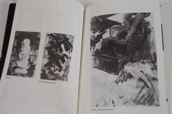 Jörg Immendorff, "Grüße von der Nordfront" - Foto 3