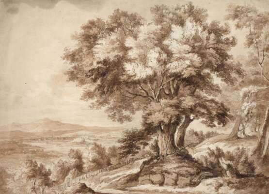 Blick in die Landschaft mit großem Baum - photo 1