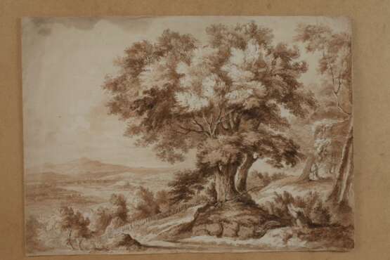 Blick in die Landschaft mit großem Baum - photo 2
