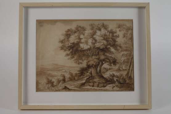 Blick in die Landschaft mit großem Baum - photo 4