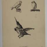 Friedrich Kotz, Paar Studienblätter - photo 2