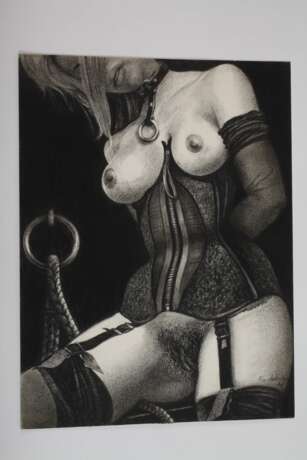 Loïc Dubigeon, Paar BDSM-Zeichnungen - Foto 4