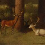 Phillips, "Ruhendes Rotwild" - фото 4