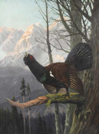 Clemens Freitag, Balzender Auerhahn im Gebirge - photo 1