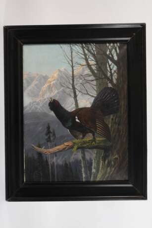 Clemens Freitag, Balzender Auerhahn im Gebirge - photo 2