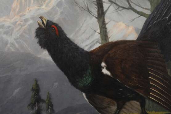Clemens Freitag, Balzender Auerhahn im Gebirge - photo 4