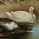 B. Günter, Enten am Teich - photo 4