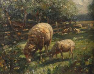 A. Müller, Schafe auf der Weide