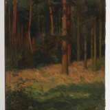 Carl Fries, Sommerlicher Kiefernwald - Foto 2