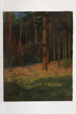 Carl Fries, Sommerlicher Kiefernwald - Foto 2