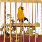 Songbird automaton - photo 4