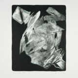 Fred Thieler. Bella - photo 1