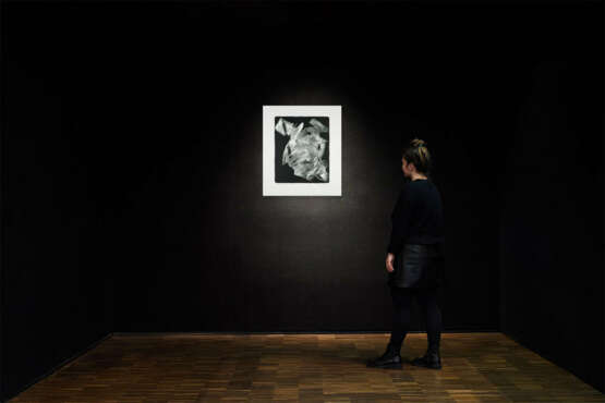 Fred Thieler. Bella - photo 3