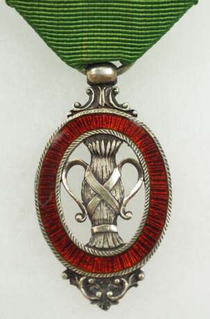 Schweden: Königlicher Wasa Orden, 1. Modell (1772-1866), Ritter Zeichen. - photo 1