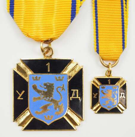 Ukraine: Kreuz der 1. ukrainischen Division, mit Miniatur. - Foto 1