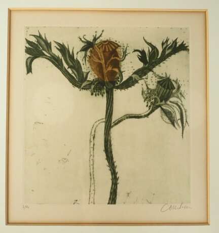 Courdrein, Brigitte 1934 Paris, - photo 3