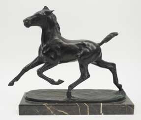 Hussmann, Albert Hinrich (1874-1946): Trabendes Fohlen.