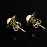 Paar Gelbgold 585 Ohrstecker mit Zuchtperlen auf gewölbter, strukturierter Scheibe, 3,5g, Ø 1,2cm - Foto 2