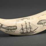 Scrimshaw "Oriole" mit "Spermwhale" und "Humpback" Darstellungen, 19.Jh., beschnitzter Walzahn mit geschwärztem Ritzdekor, L. 11,5cm, 127g - photo 1