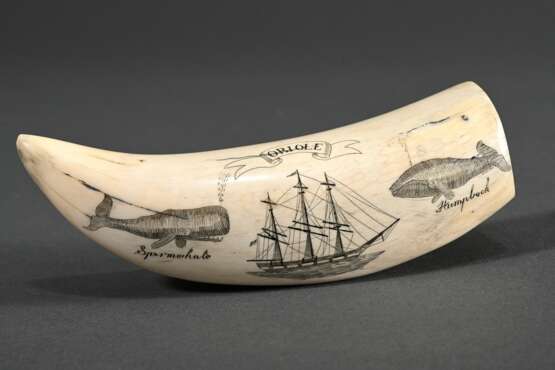 Scrimshaw "Oriole" mit "Spermwhale" und "Humpback" Darstellungen, 19.Jh., beschnitzter Walzahn mit geschwärztem Ritzdekor, L. 11,5cm, 127g - photo 1