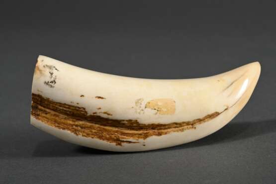 Scrimshaw "Oriole" mit "Spermwhale" und "Humpback" Darstellungen, 19.Jh., beschnitzter Walzahn mit geschwärztem Ritzdekor, L. 11,5cm, 127g - photo 2