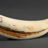 Scrimshaw "Oriole" mit "Spermwhale" und "Humpback" Darstellungen, 19.Jh., beschnitzter Walzahn mit geschwärztem Ritzdekor, L. 11,5cm, 127g - photo 2